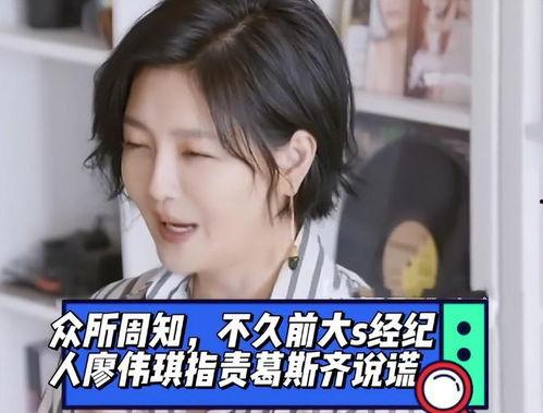 葛斯齐最新爆料大s12g视频,大S12G视频背后的惊人真相